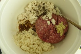 MissFoodFairy's Japanese meatball ingredients together