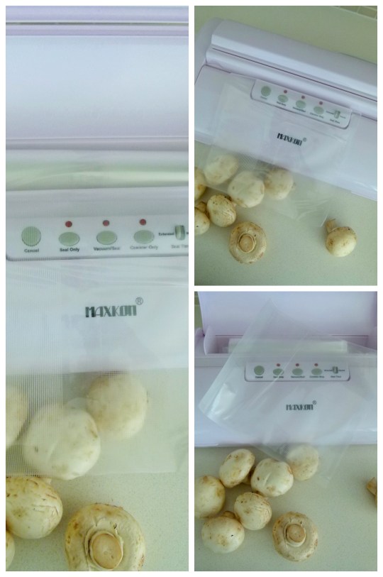 MissFoodFairy's bag cutting