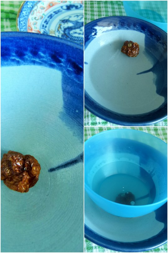 MissFoodFairy's hydrating Habanero