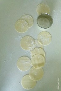 a.MissFoodFairys dumpling wrappers #1