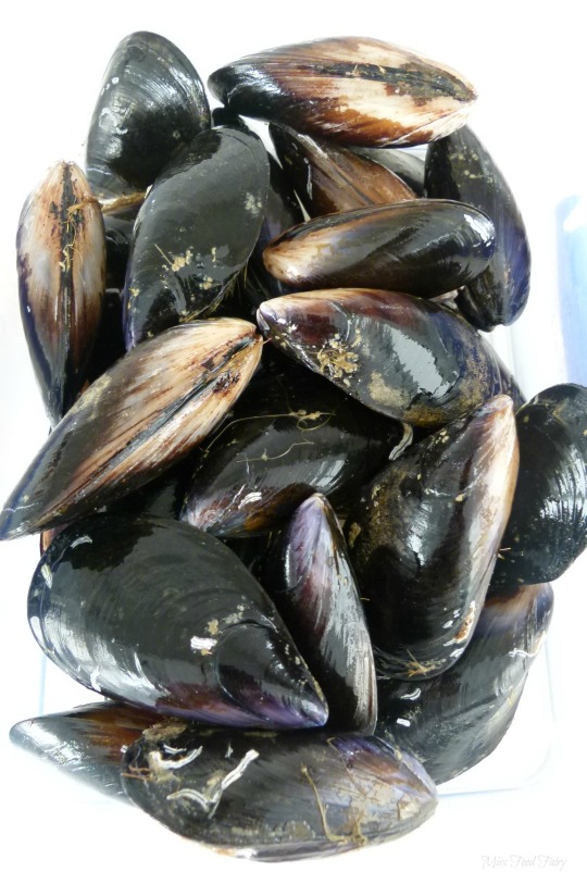 a.MissFoodFairys mussels