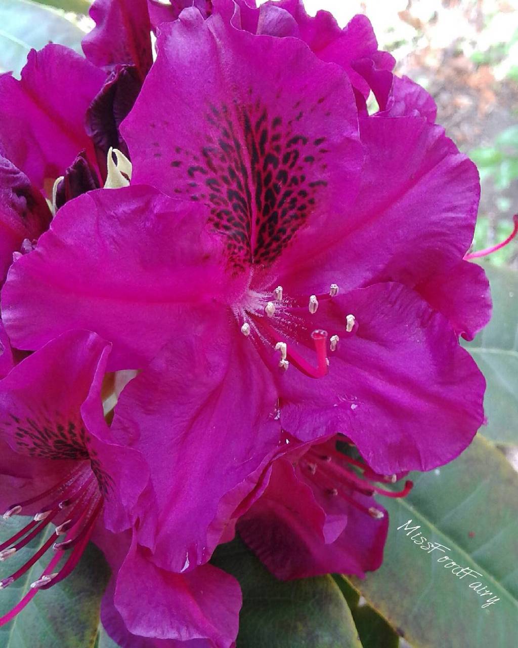 Here & Now November&nbsp;2016