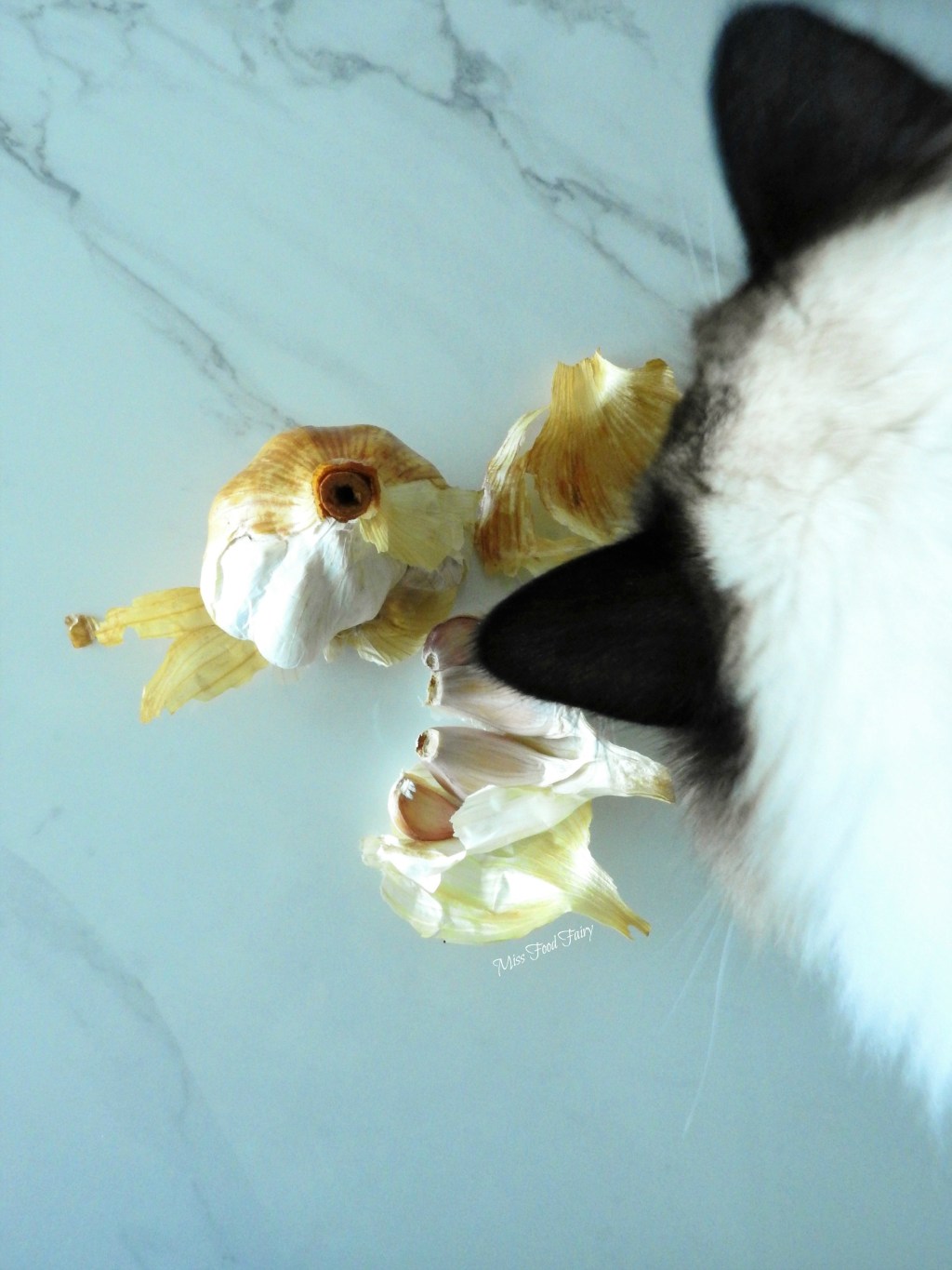 In my Kitchen Dec2016 | Miss Food Fairy