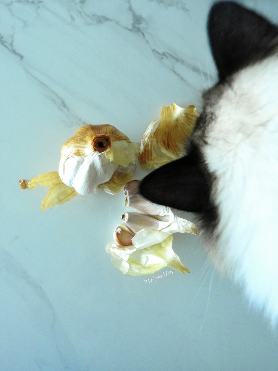 In my Kitchen Dec2016 | Miss Food Fairy