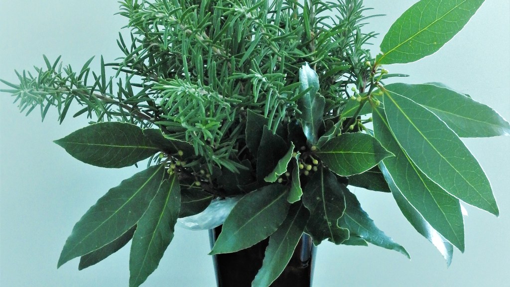 In My Kitchen MAY17 | Miss Food Fairy