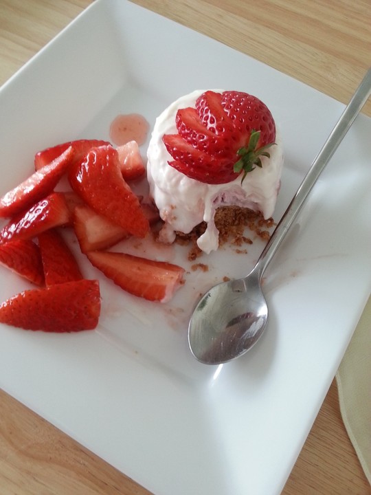 Frozen yoghurt cheesecake MissFoodFairy